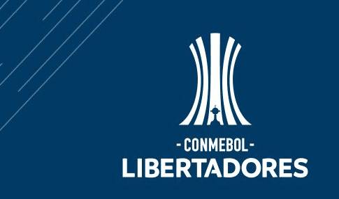 足球解放者杯赛,足球财富解放者杯