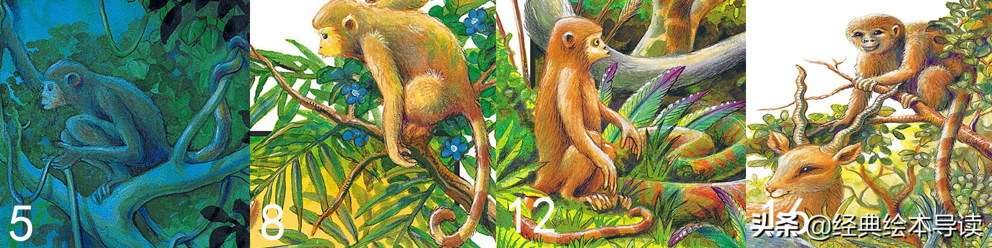 “弱势”与卑微生命的愿望——《阿吉的许愿鼓》导读