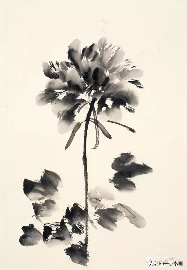 王绣写意牡丹画法步骤,王兮然写意牡丹画法视频大全