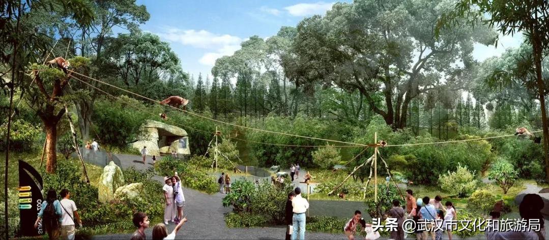 武汉动物园改造升级工程,武汉动物园升级最新消息