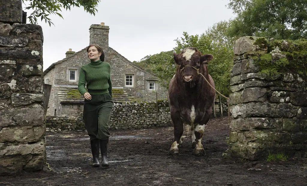 加拿大温哥华和多伦多哪个城市好,多伦多现状