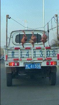 喜欢很久的小哥哥,喜欢了很久的小哥哥