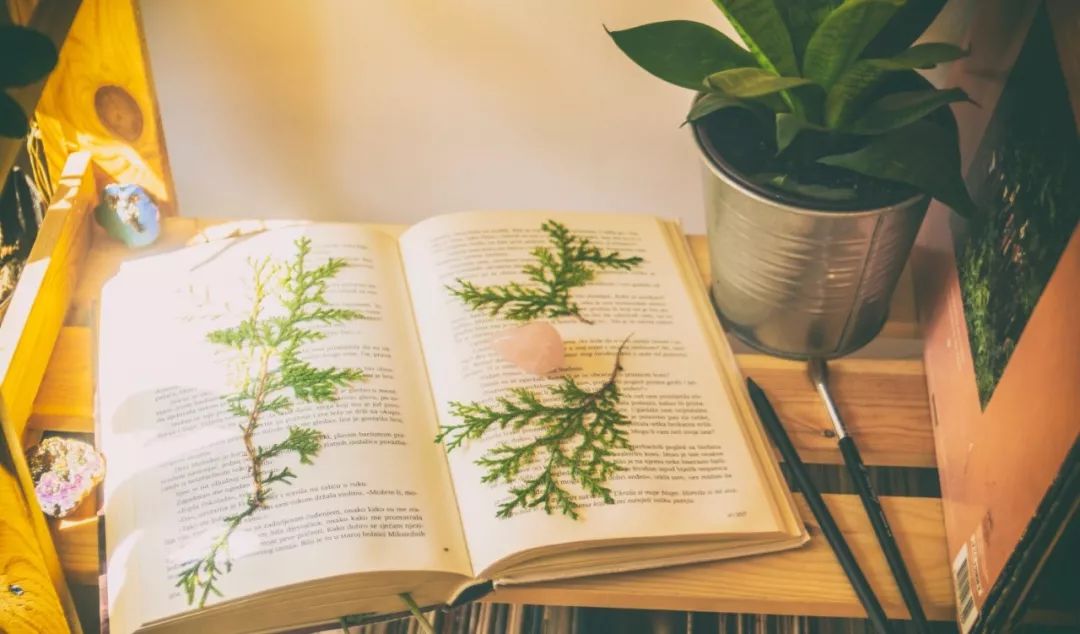 本周运势11.1-11.7水逆,10月份运势水逆