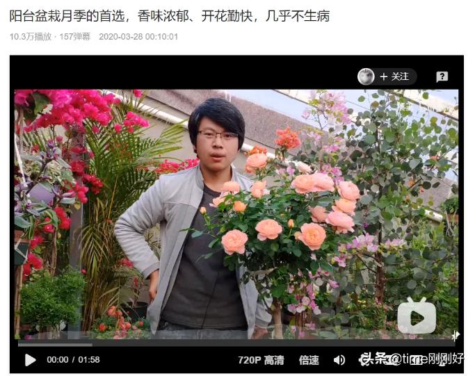 教你做副业带你挣钱,帮你规划人生教你做理财