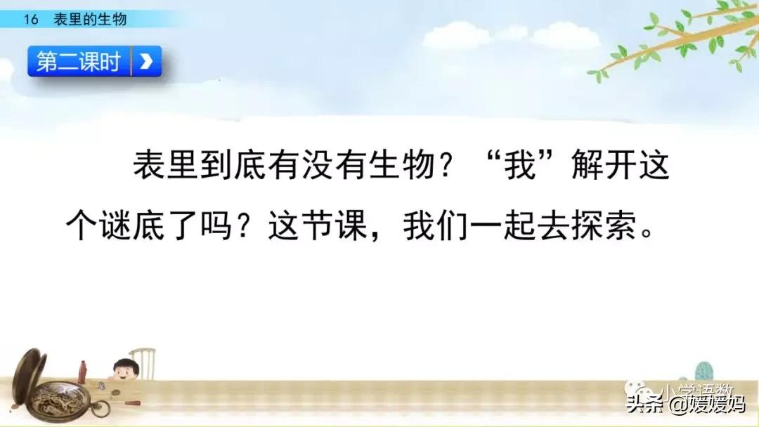 六年级下册语文表里的生物朗诵,六年级下册表里的生物小练笔400字