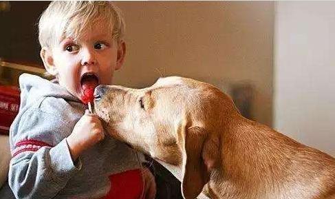 狗狗为啥喜欢舔脖子,狗狗为什么喜欢舔舐肚子