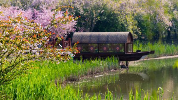 喜之家,喜之家视频