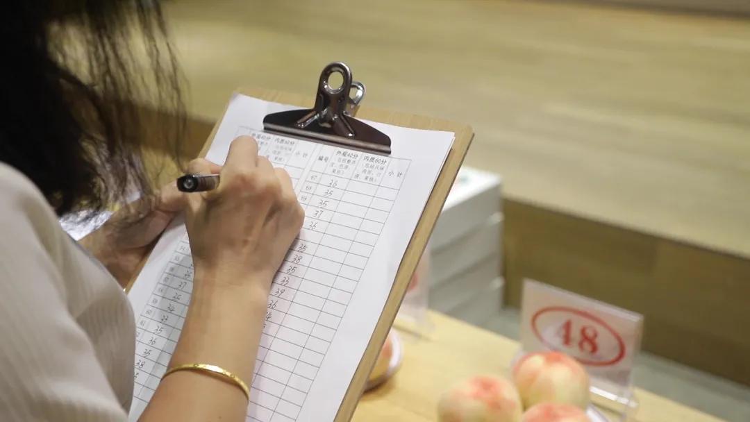 无锡阳山水蜜桃2019年桃王,一看就好吃玫瑰玫瑰