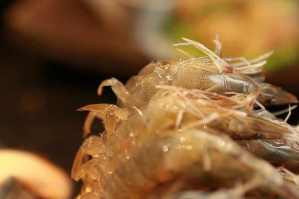 人均200的五星级酒店自助餐,金沙滩希尔顿自助餐138元