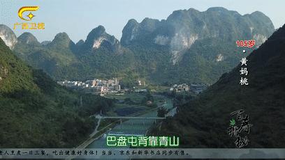 巴马长寿村10年候鸟人真实现状,最新巴马候鸟人真实讲述