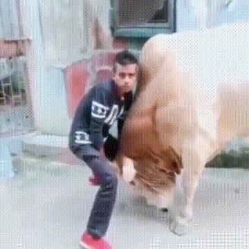 二次元的钱就是好赚,二次元的钱就是这么好赚