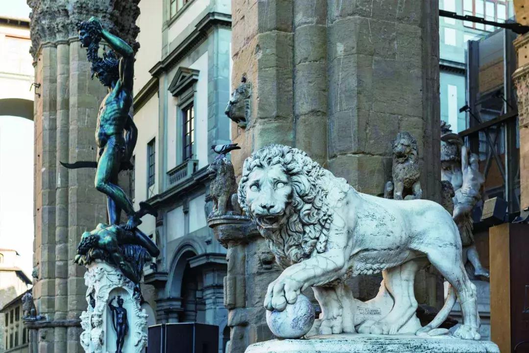 美洲狮在热带雨林,美洲狮在热带雨林会留下什么踪迹