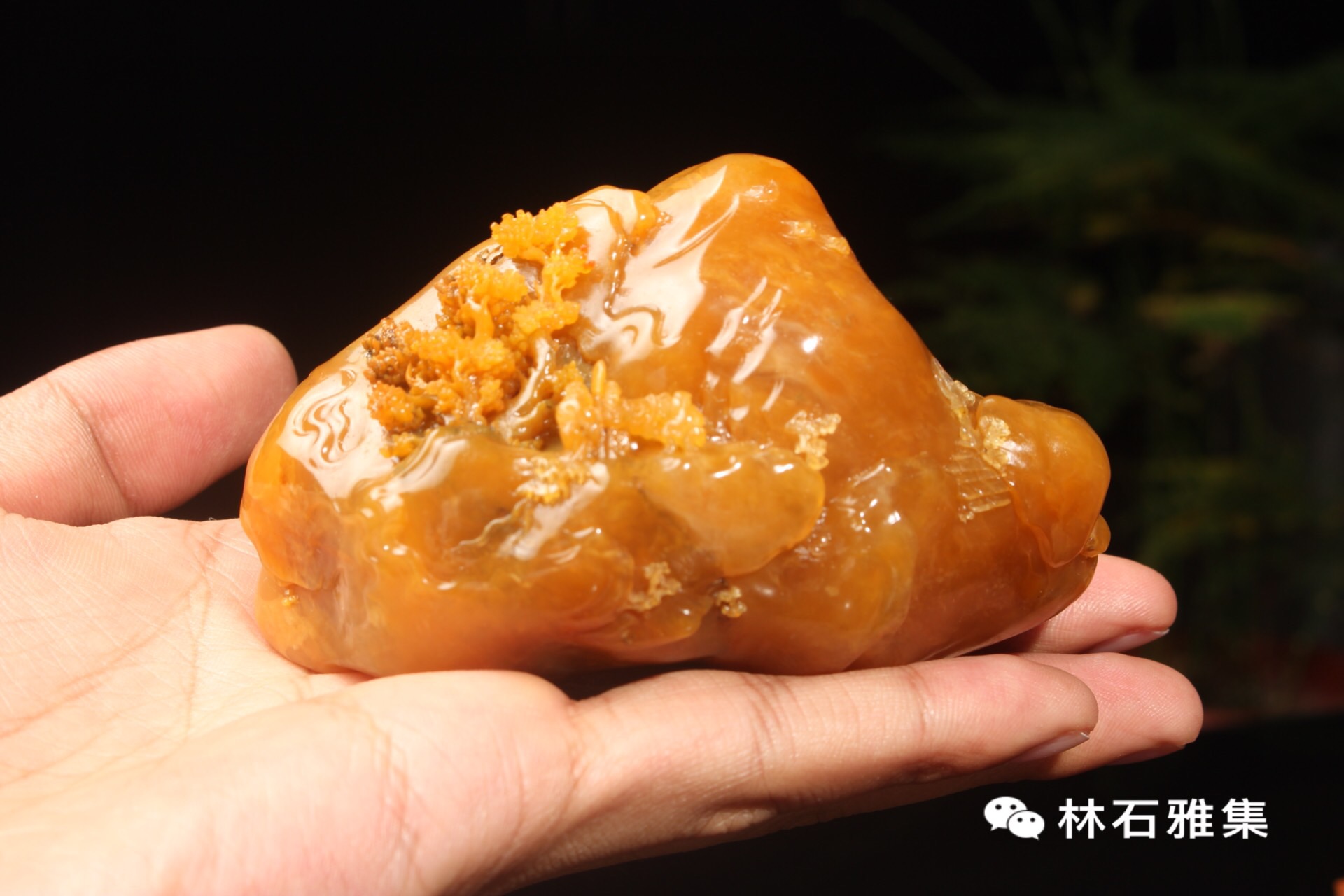 老挝北部田黄石,老挝田黄石目前市场价格