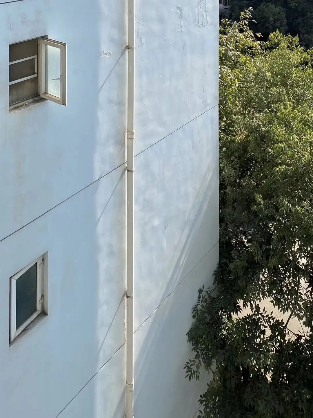 便宜的农副产品干货,冷门的农副产品