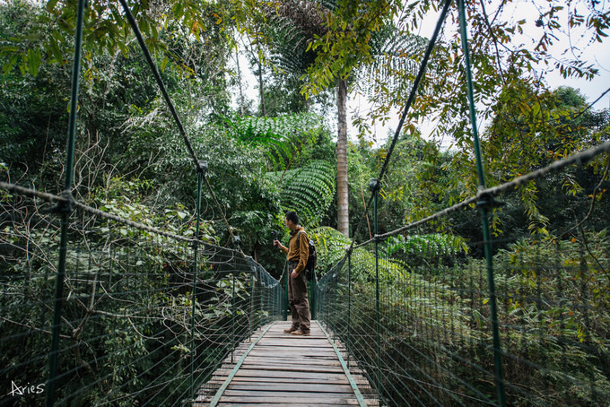 西双版纳环途旅游,西双版纳旅游度假攻略