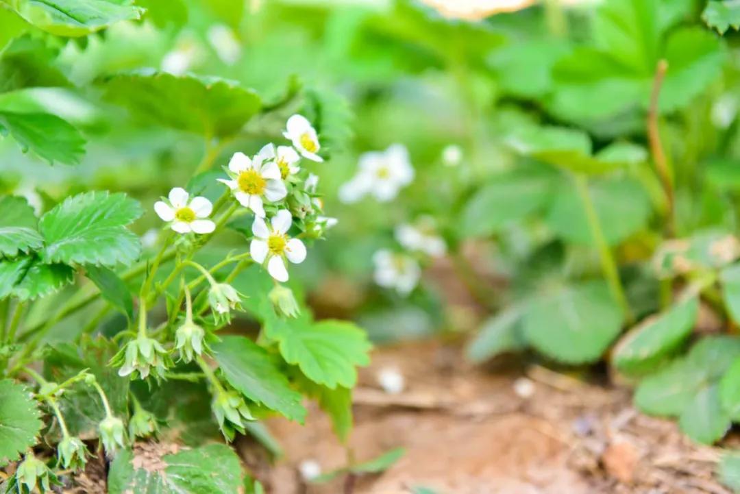 住最静的酒店，看最美的景！只因在黄河石林~