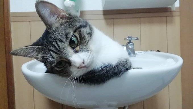 日本女生一天花9块买三栋楼,日本妹子六年买下3栋房