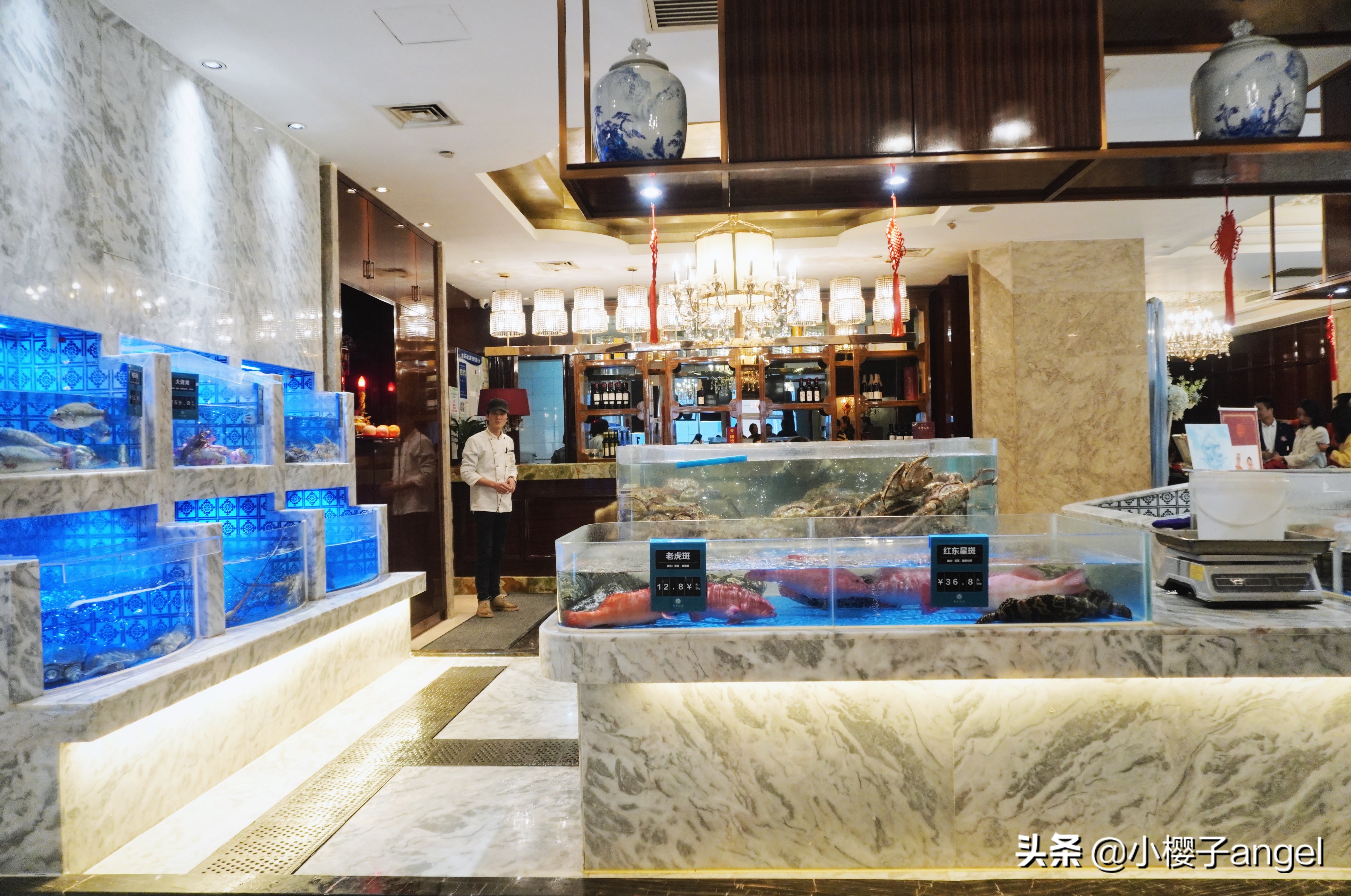 长沙觅食，南景饭店这家湘菜好看又好吃