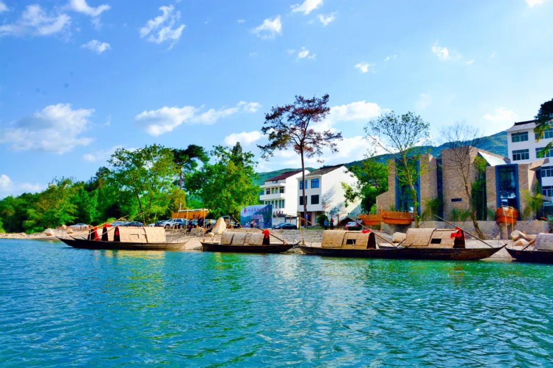 今日头条农村支部书记,浙江党支部书记