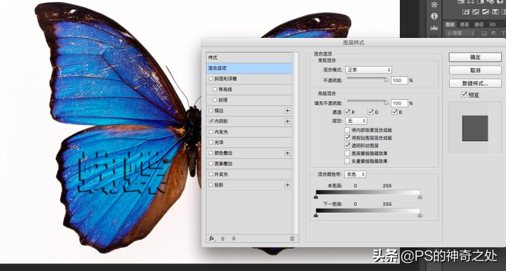 ps鎬庝箞閫変腑钂欑増,ps钂欒鐗堟湁鍝簺