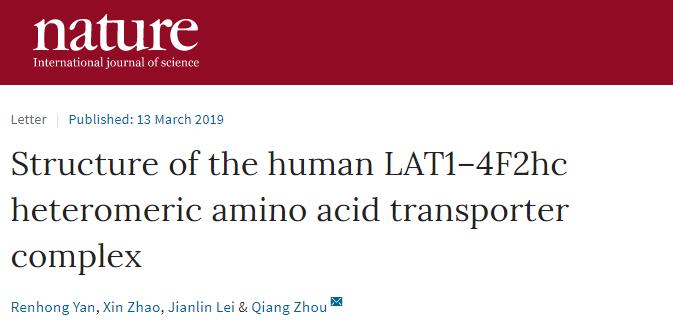 冷冻电镜最新研究,冷冻电镜研究成果涌现