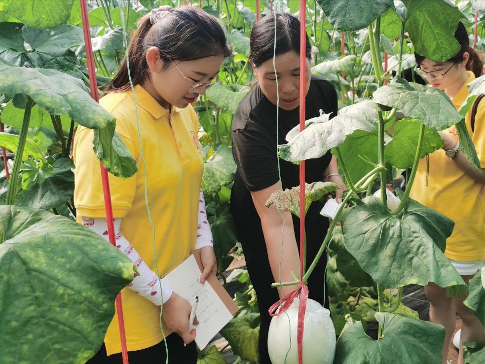 数字赋能助力乡村全面振兴三下乡,南阳理工学院三下乡社会实践