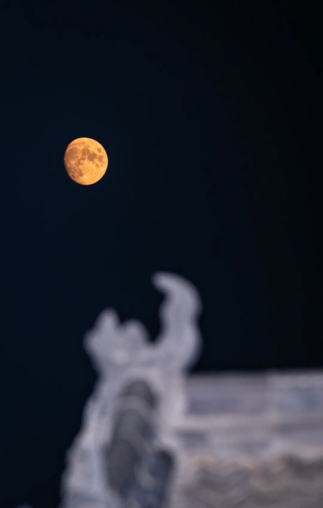 閮戝寳鍙ら晣灏忛櫌,閮戝寳涓紡灏忛櫌