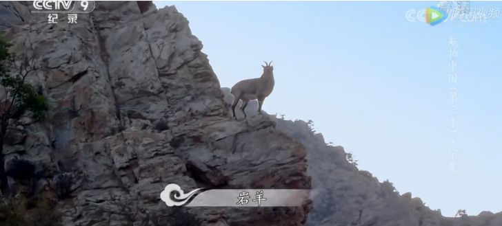 航拍中国宁夏详细景点,航拍中国宁夏详细笔记