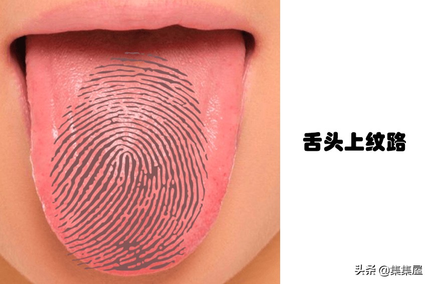 世界上最奇特的指纹,除了指纹还有什么是独一无二的