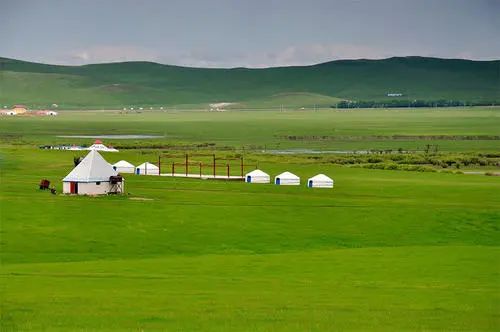 突然想去新疆旅游,突然好想去呼伦贝尔