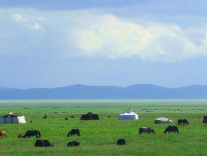 呼伦贝尔大草原哪里最美,世界上最美的草原呼伦贝尔大草原