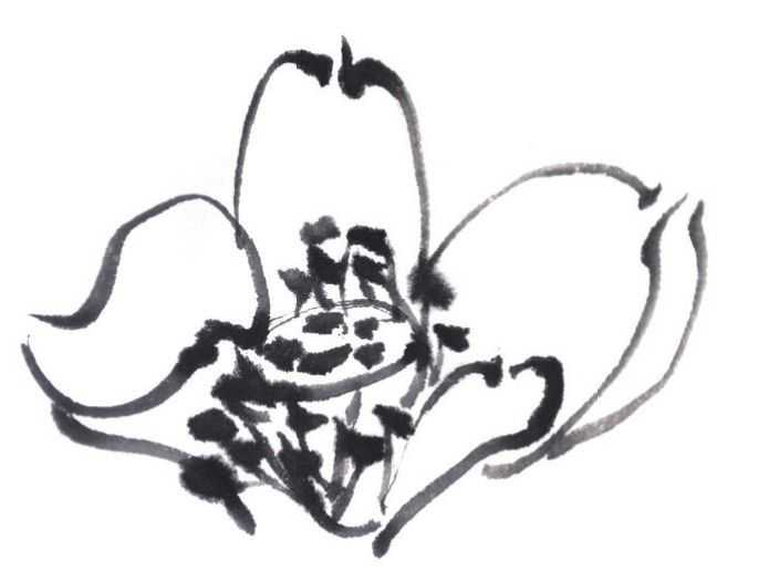 国画刘存惠荷花画法全视频,国画山水画教学视频荷花画法