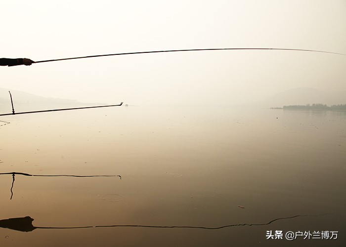 钓鱼人怎么注意哪些鱼不能钓,经常钓不住大鱼