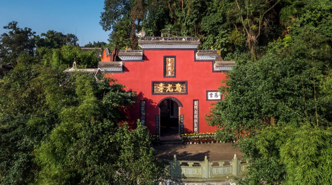 大年初一云游乐山大佛,观光乐山大佛