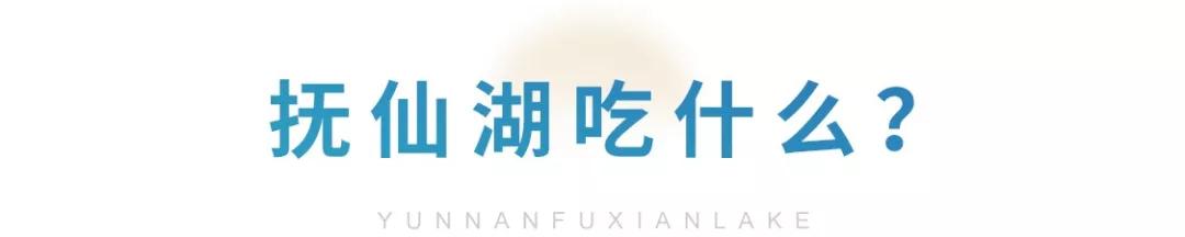 昆明出发抚仙湖一日游攻略,昆明去玉溪抚仙湖游玩攻略