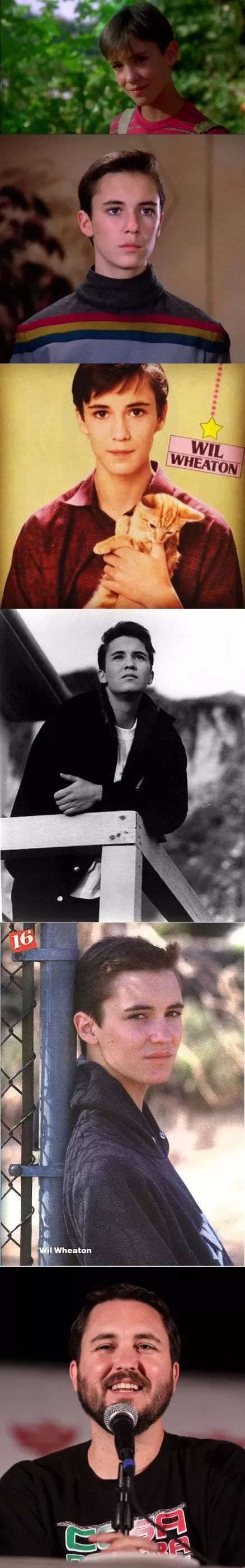 一胖毁所有胖的人和瘦的人区别,一胖毁所有视频