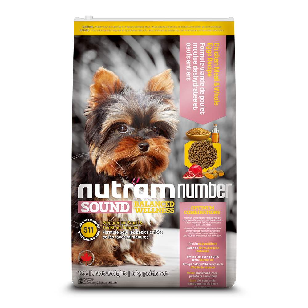 小型犬幼犬到家后的正确流程,新犬到家第一天老叫