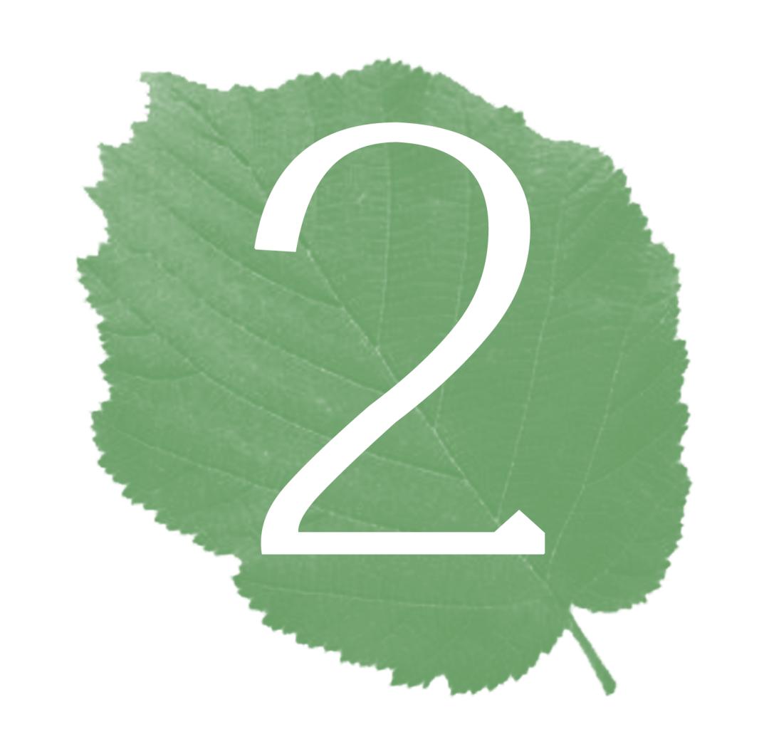 300+万㎡原始森林秘境，天河就有