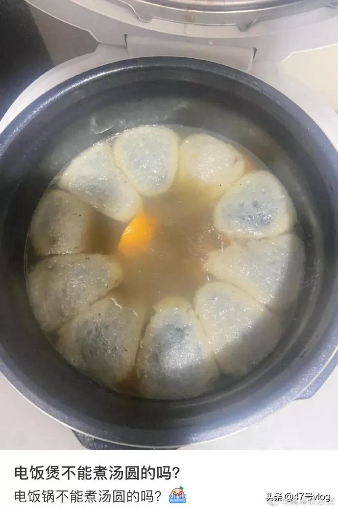 家里两只猫咪可以一起养吗,家里有宝宝适合养什么猫咪