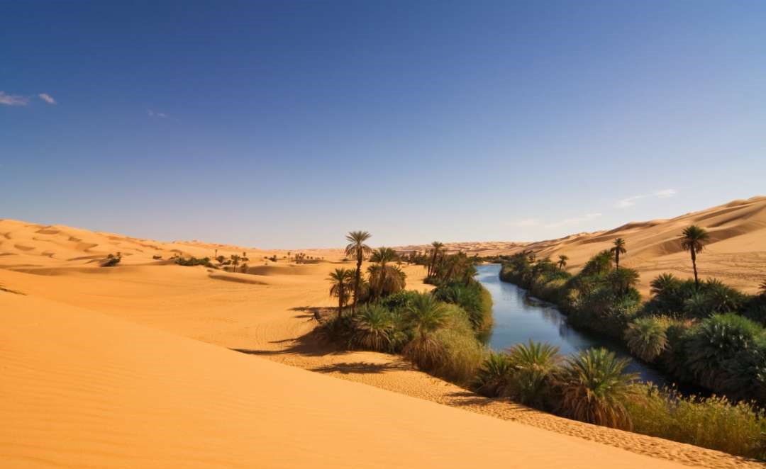 为什么阻止沙漠变成森林,如果沙漠全部变成森林地球会怎样