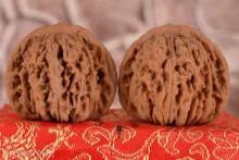 文玩品鉴视频,广善文玩精品文玩核桃