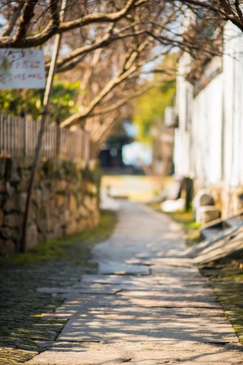 @游友，苏州的古镇都在这儿了