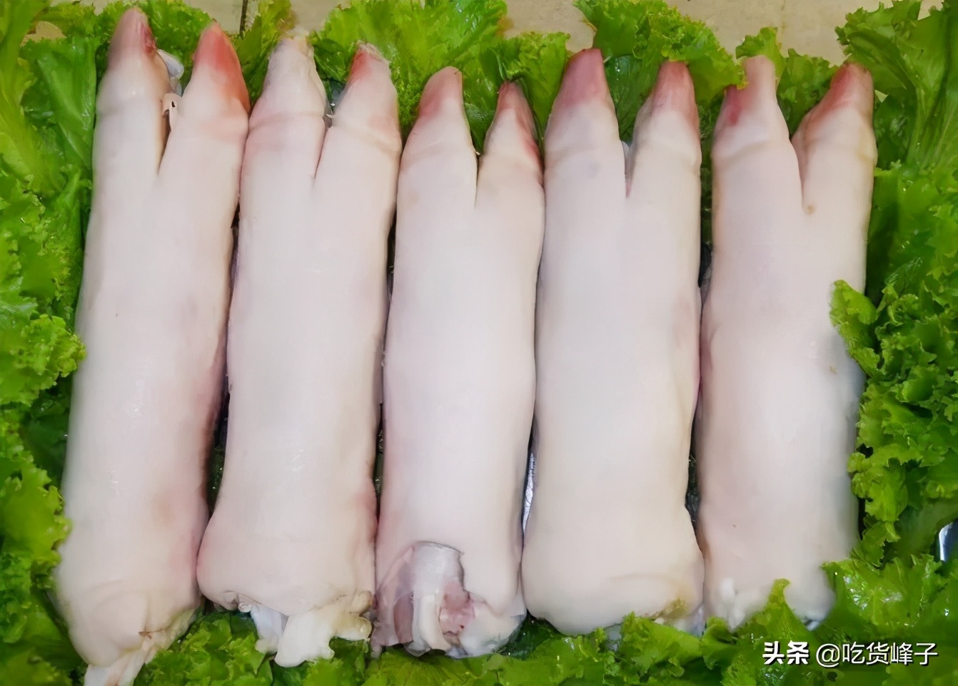 买猪蹄买胖还是瘦的好,选猪蹄要记住这四点