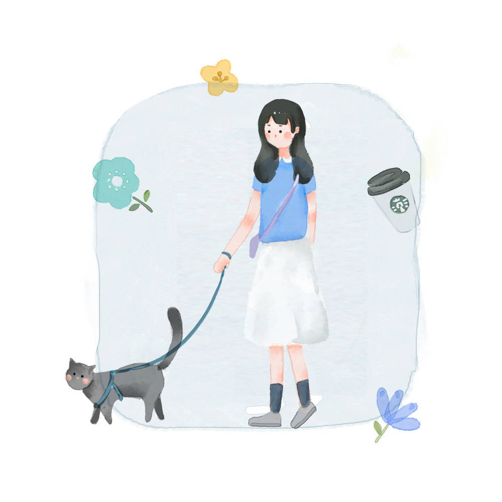 缘聚缘散关于校园时光的句子,路过母校怀念过去的经典句子