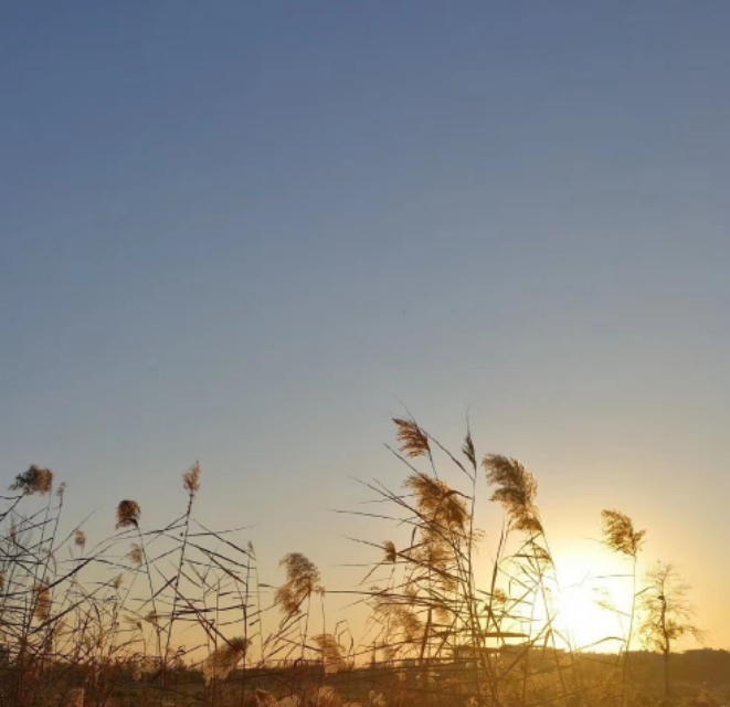 农村记忆散文,农村老水井散文