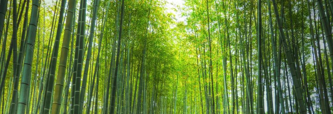 深圳华森建筑与工程有限公司,华森建筑设计作品