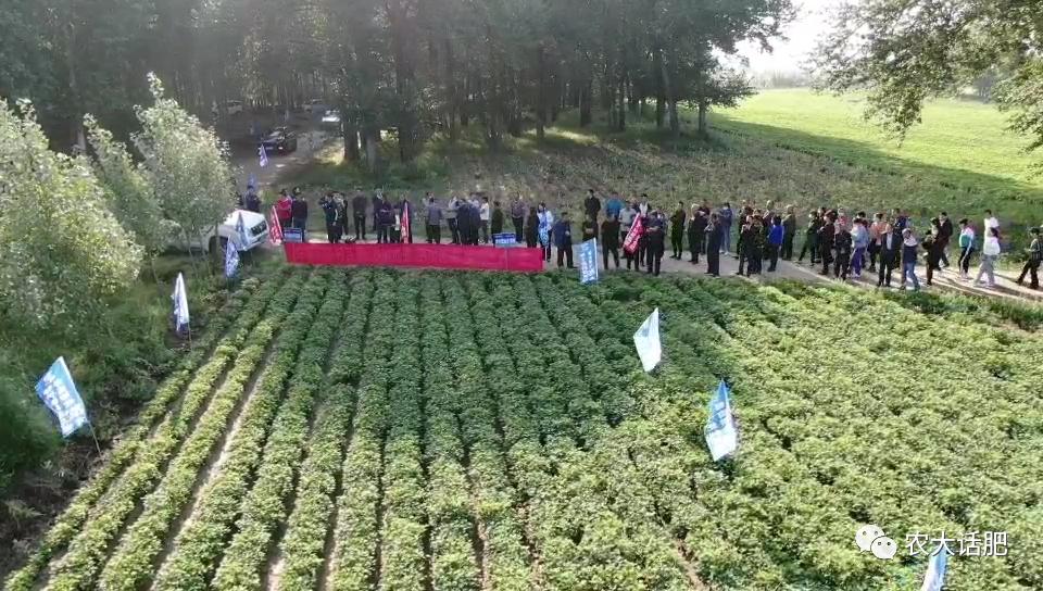 农大肥业简介,农大肥业高氮水溶肥