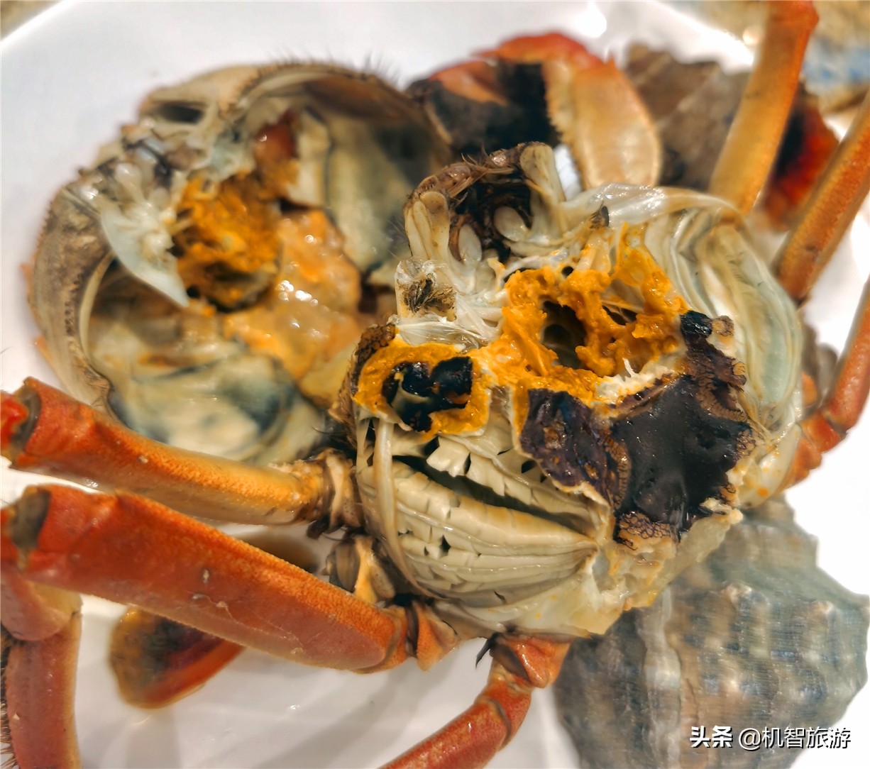 日照渔家乐带小院的住宿推荐,日照渔家乐民宿避雷