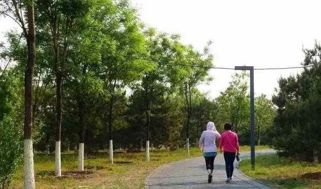 北京这38个森林公园您先收藏了!定个小目标,有空儿玩个遍!