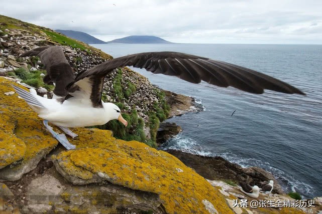 美军在太平洋战争中攻打海滩堡垒,美军被吊打最惨的一次